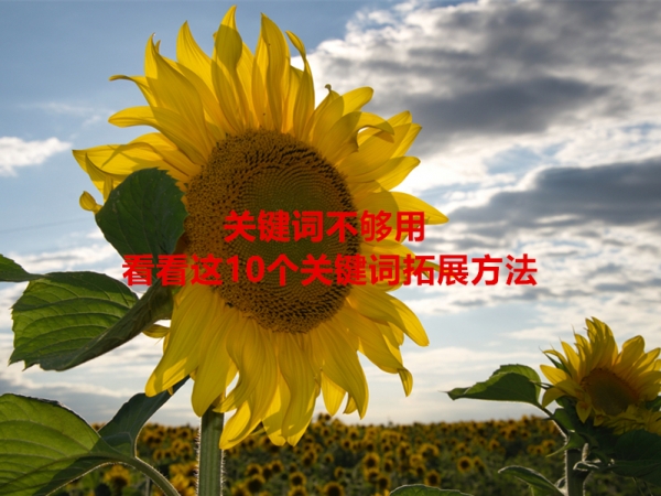 關(guān)鍵詞不夠用，看看這10個(gè)關(guān)鍵詞拓展方法！